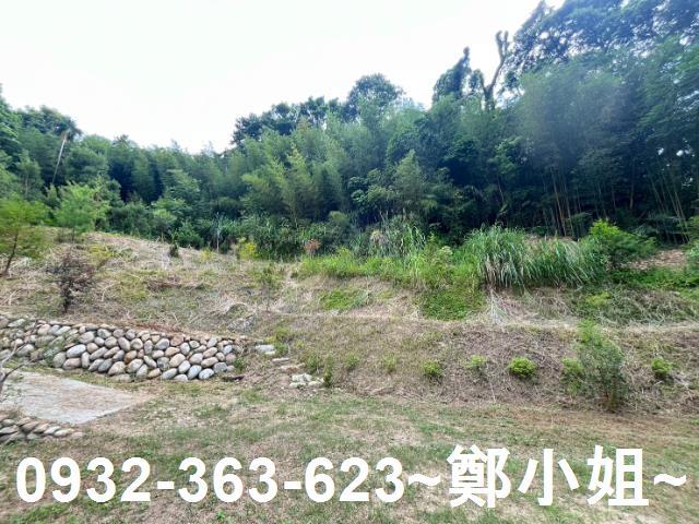 卓蘭農地-2