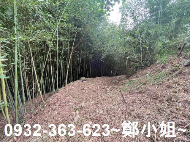 卓蘭農地-6