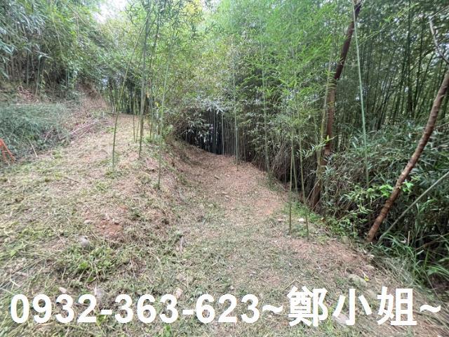 卓蘭農地-8