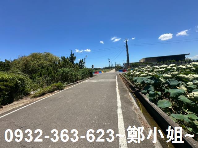 大園農地-2