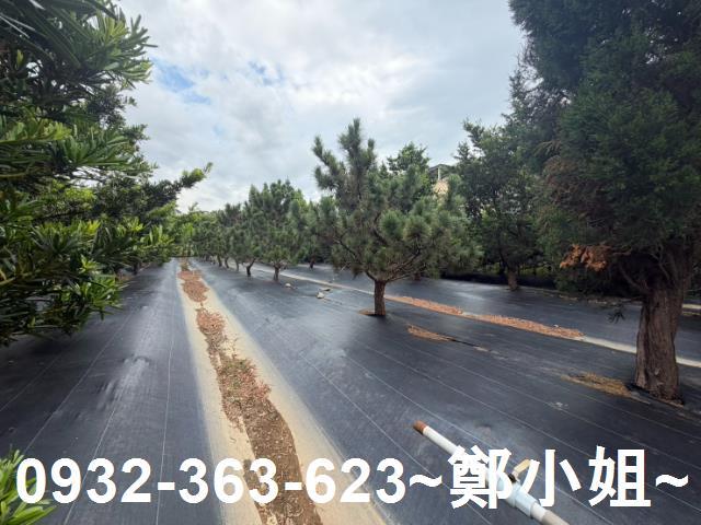 中壢農地-2
