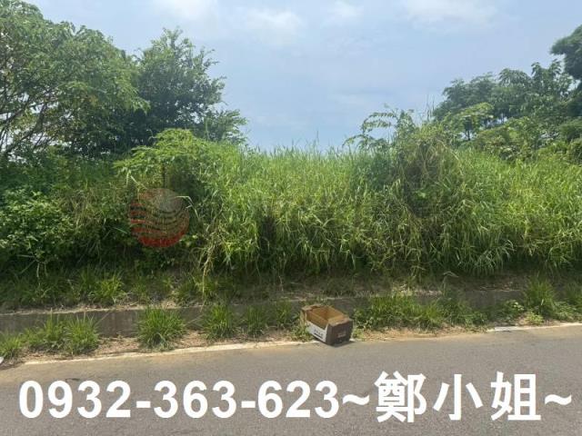 桃園農地-6