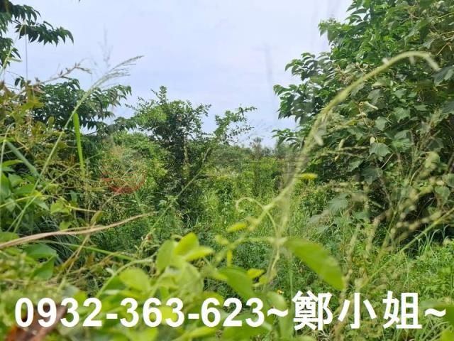 桃園平鎮農地-11