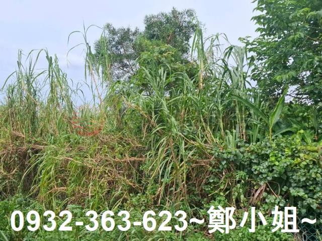 桃園平鎮農地-12