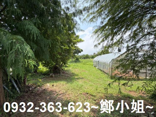 桃園中壢農地-6