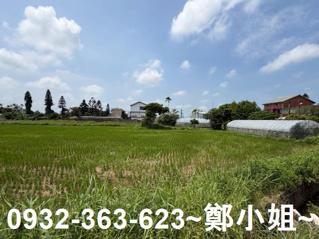 桃園中壢農地-8