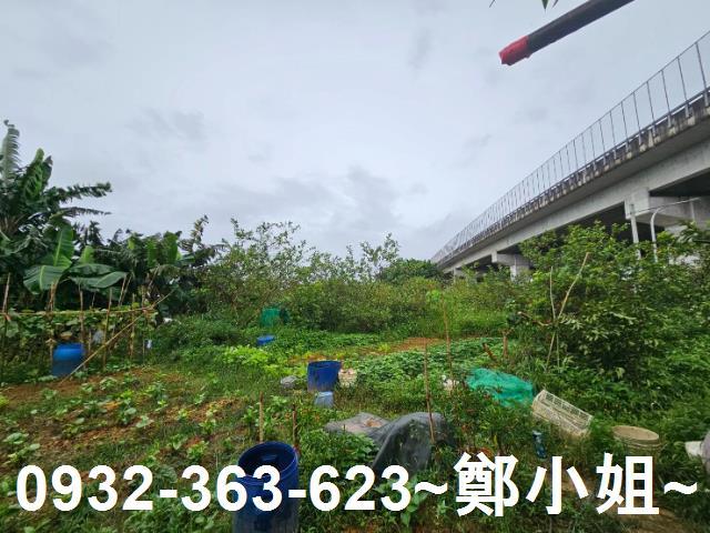 桃園區農地-4