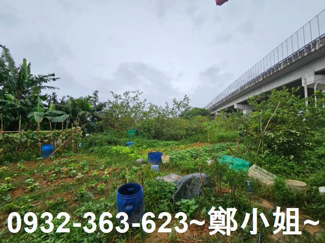 桃園區農地-5