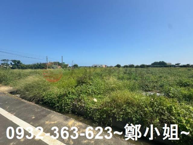 桃園觀音農地-9