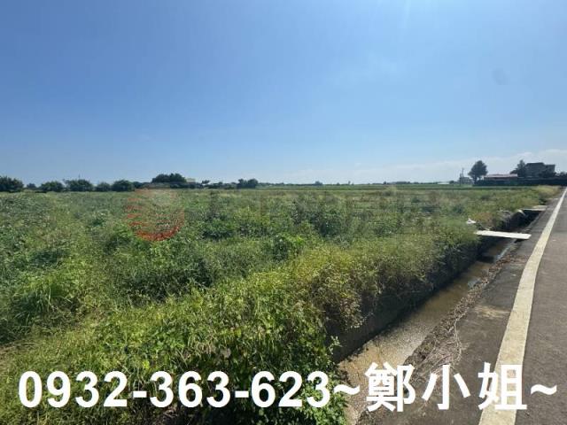 桃園觀音農地-10