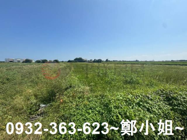 桃園觀音農地-12