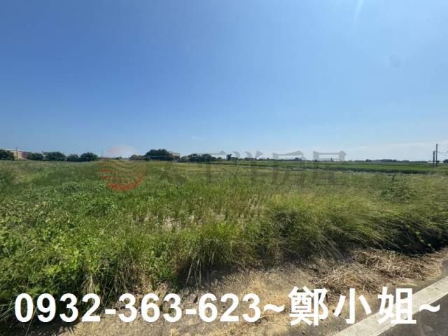 桃園觀音農地-1