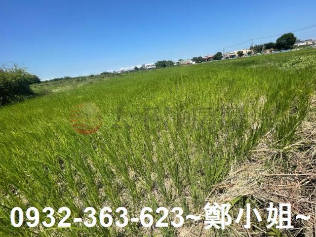 蘆竹農地-3