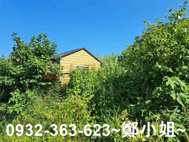 桃園蘆竹農地-5
