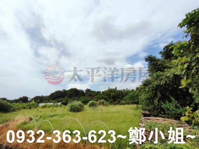 桃園區農地-1