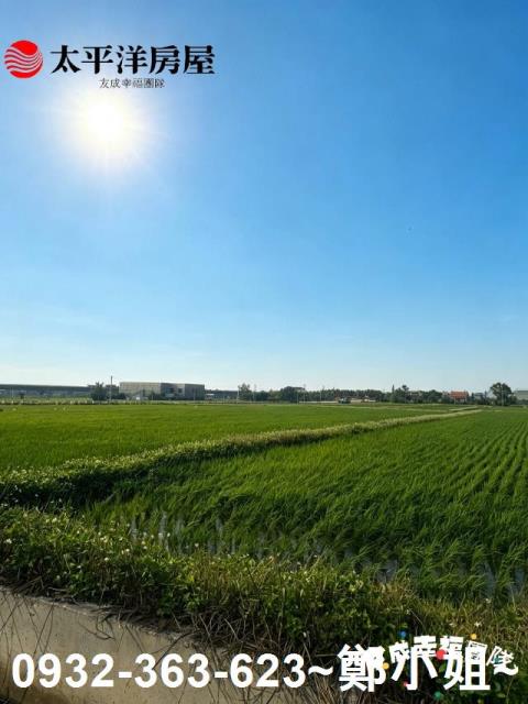 桃園農地-2