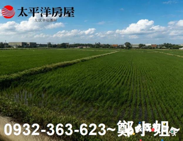 桃園農地-3